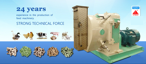 Xin Hengfu-Cattle Feed Plant Machinery Manufacturer