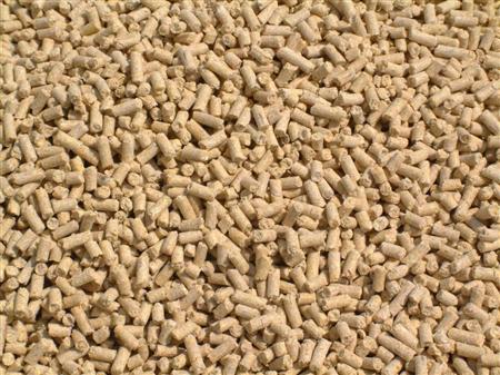 Genetically modified feeds and their effect on the metabolic Genetically modified feeds and their effect on the metabolic