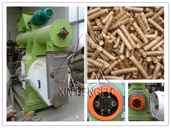 ring die poultry feed pellet mill 