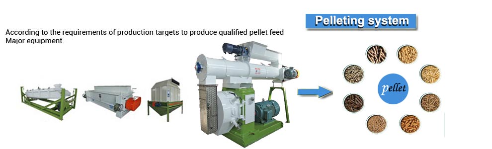 Welcome to Gloucester Animal Feeds Welcome to Gloucester Animal Feeds