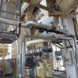 feed pellet mill process 